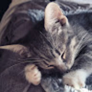 Meet your Posher, Faye